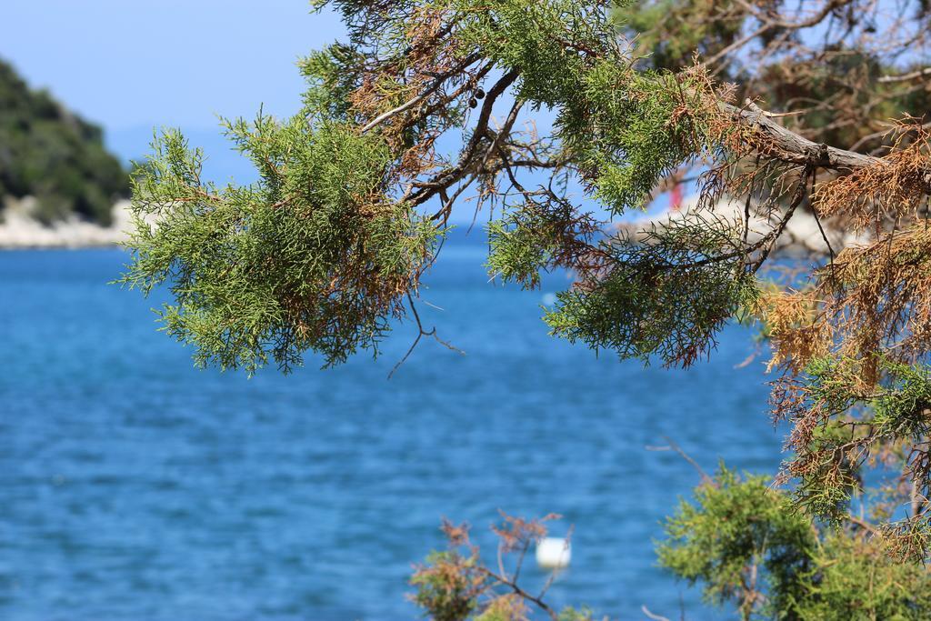 Apartments Leo Katic Lastovo Экстерьер фото